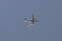 G-LCYT